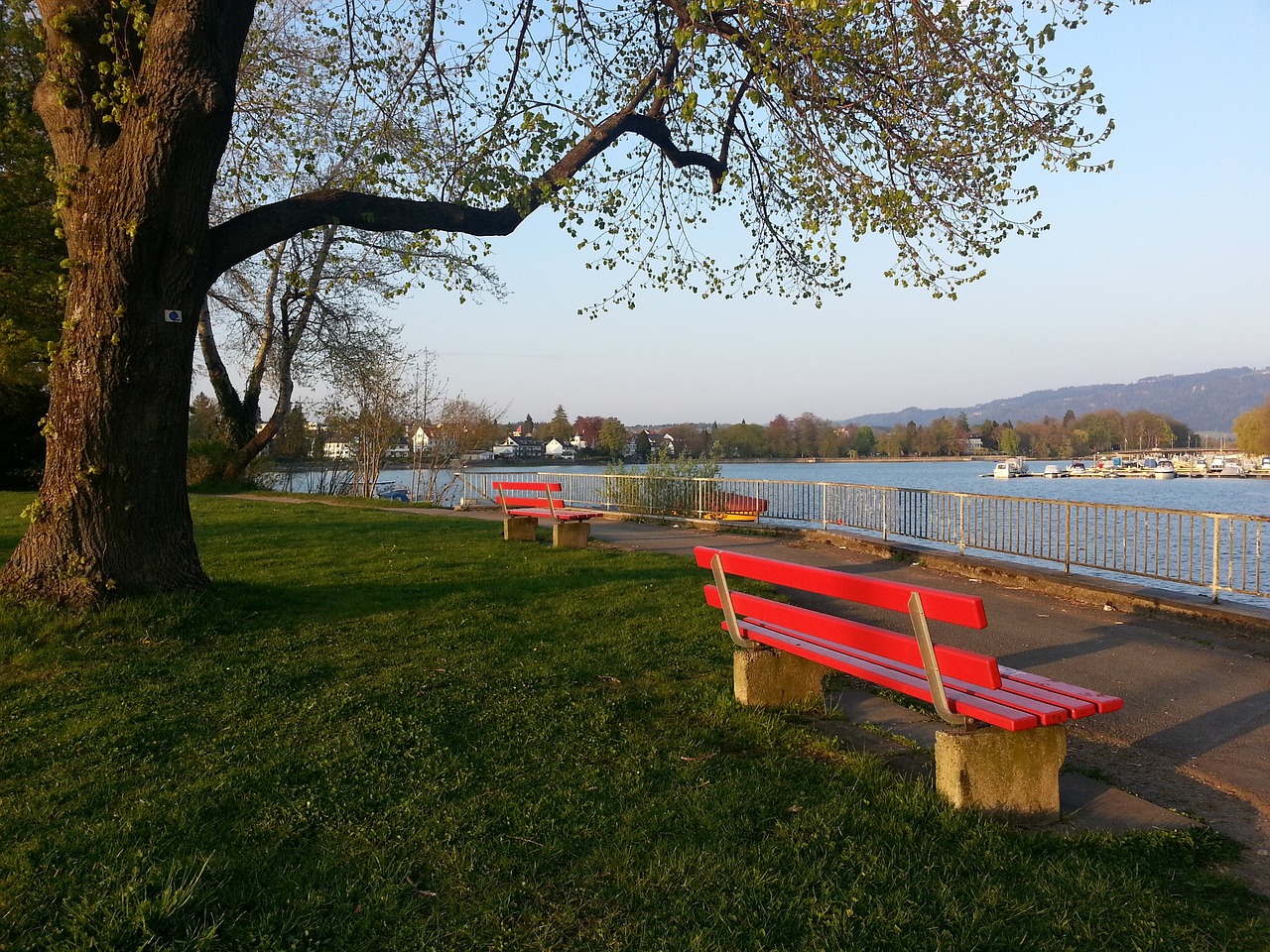 湖人替补奇兵拯救球队