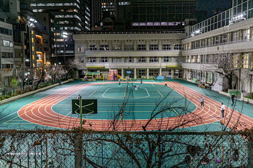 晰参照