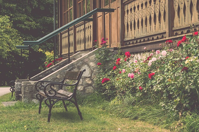 入了新的活 入了新的活