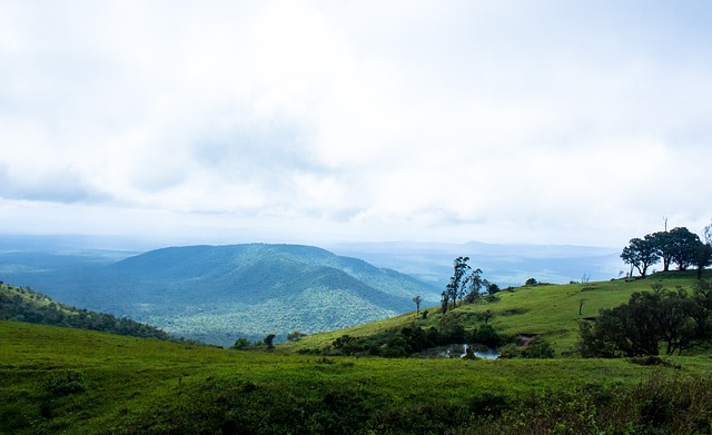 出色发挥 出色发挥