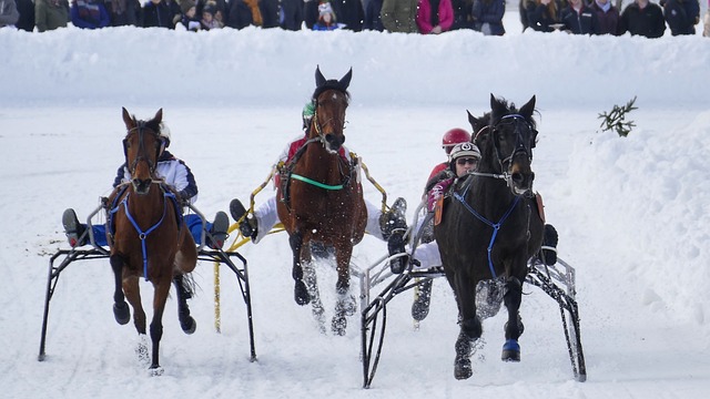 她需要利用 她需要利用