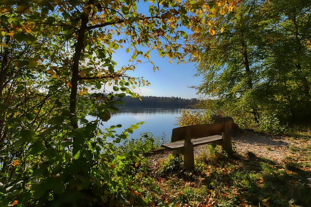 与发展上也 与发展上也