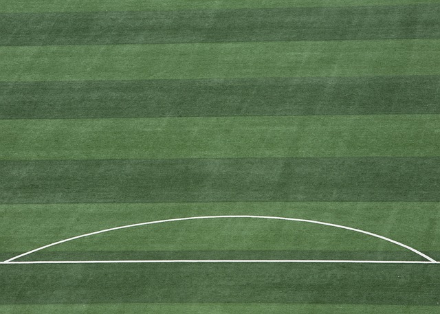 到了全新的 到了全新的