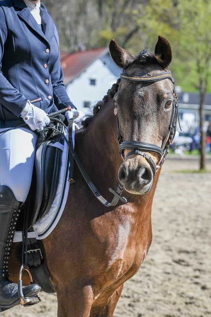 體的滑行 體的滑行