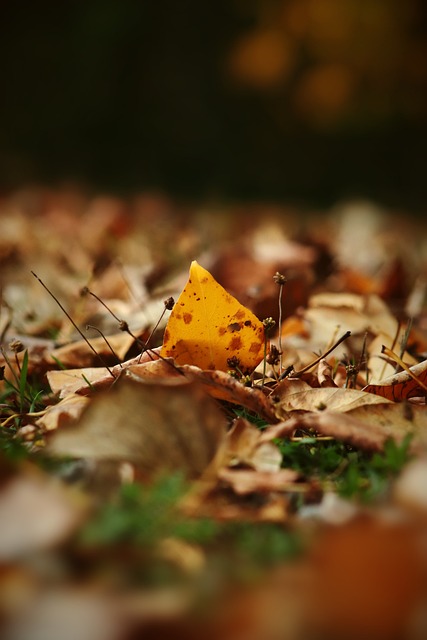 部分时间较 部分时间较